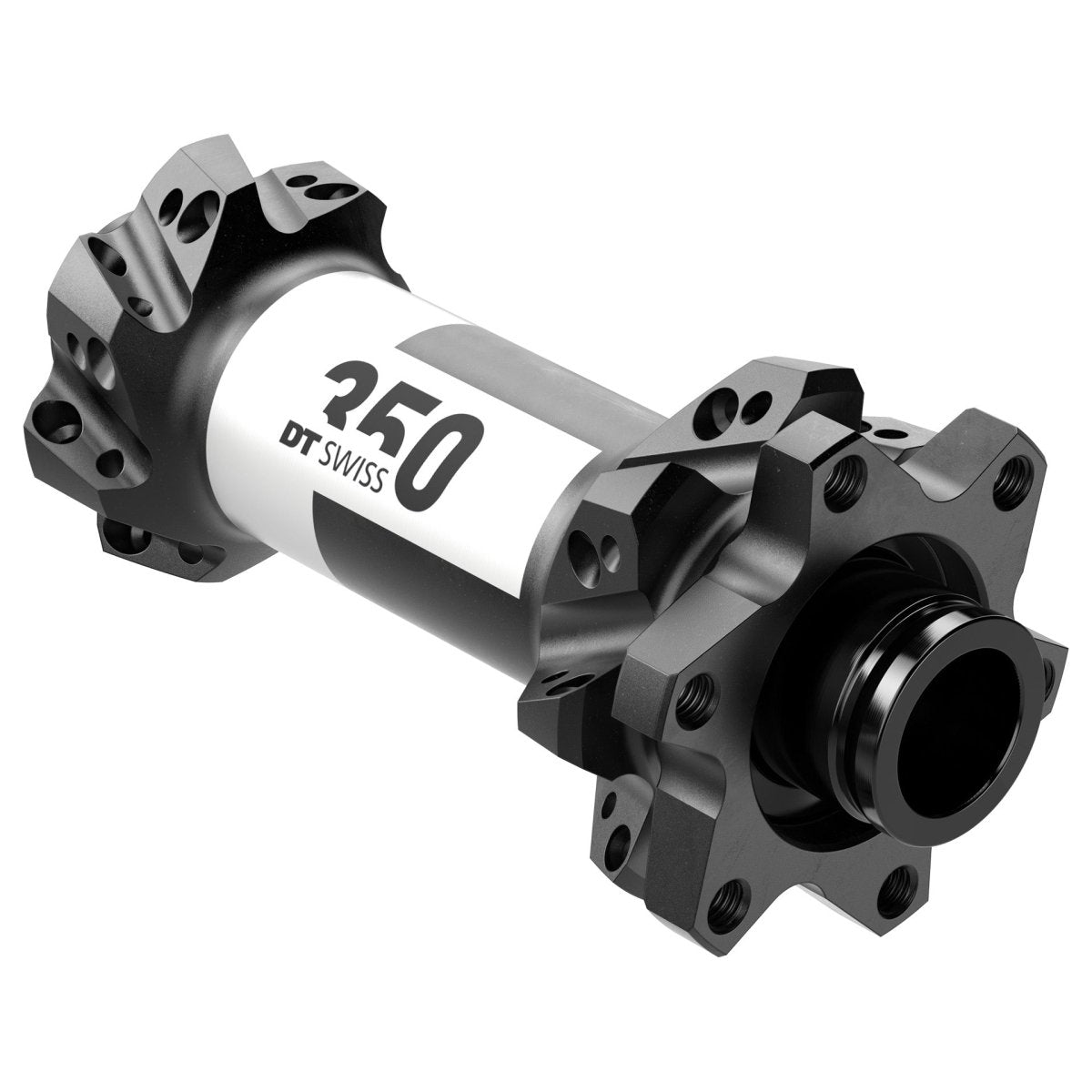 DT Swiss 350 Vorderradnabe Straightpull | 6 - Loch | 15x100 mm Steckachse - RAAAD.de