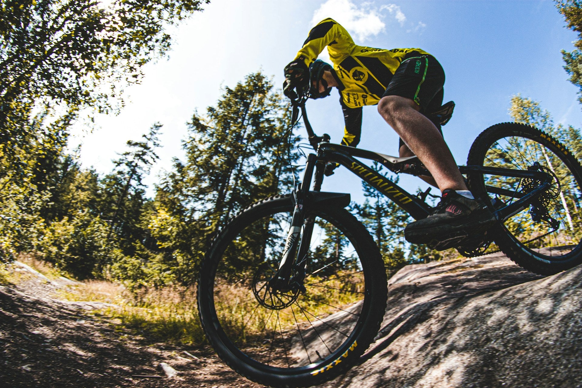 Mountainbiker fährt über einen felsigen Waldtrail bei sonnigem Wetter